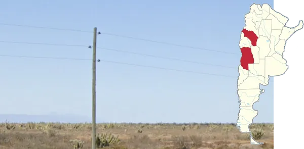Деревянные крючковые шесты в латвийском стиле, Ла-Риоха, Мендоса, Аргентина
