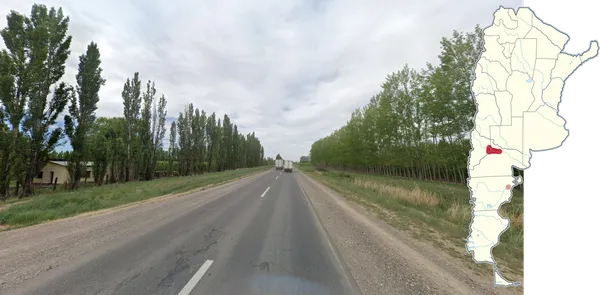 Стройные одиночные ряды тополей на ровной местности вокруг Неукена