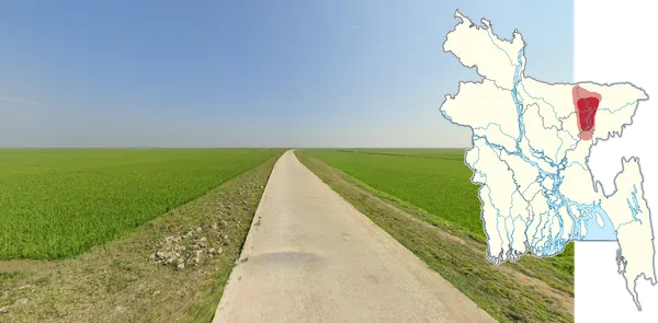 Пограничные рисовые поля между штатами Дакка, Маймансингх и Силхет