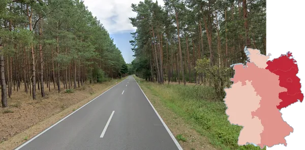 Оранжевый ствол сосны Pinus sylvestris среди прибалтийских лесов северо-востока Германии