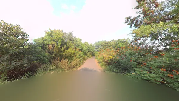 Коричневатая shitcam с размытым пятном, закрывающим Street View автомобиль в Индии