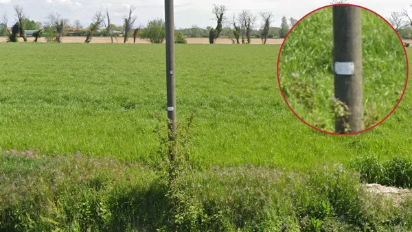 Белая наклейка на деревянном столбе в Италии возле дороги