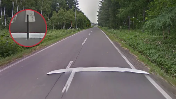 Черно-белый японский Google low-cam с камерой ниже уровня земли