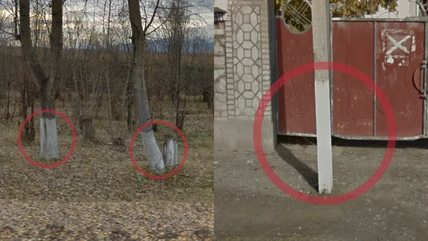 Бетонные столбы с белой покраской нижней части среди деревьев в Кыргызстане