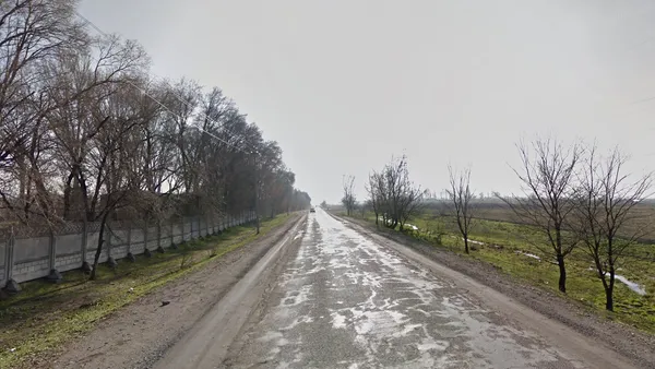 Заснеженные деревья без листьев на фоне горного пейзажа Кыргызстана зимой