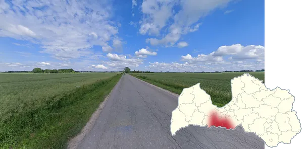 Открытые поля и редкий лес в районе южнее Елгавы в Латвии
