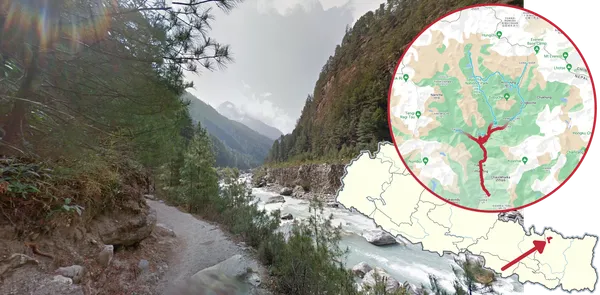 Зеленые леса с густыми деревьями на юге непальского треккинга