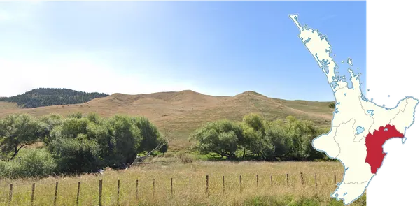Сухие золотистые холмы Хокс-Бэй и белый автомобиль Street View при солнце