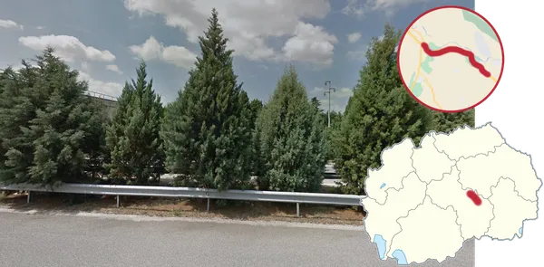 Деревья на разделительной полосе между трассами E75 и A1