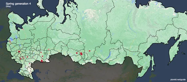 Весеннее дорожное покрытие Gen-4 на трассе рядом с Кемерово и сосновым лесом