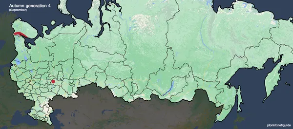 Осеннее покрытие Gen-4 на дороге возле Казани и Мурманска