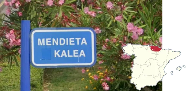 Улица в баскскоязычном районе с названием kalea на табличке