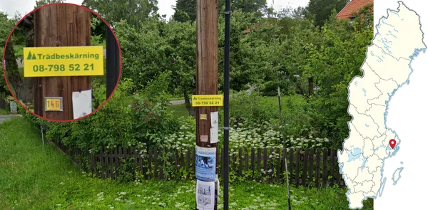 Небольшие желтые таблички о вырубке деревьев на столбе электропередач пригородов Стокгольма