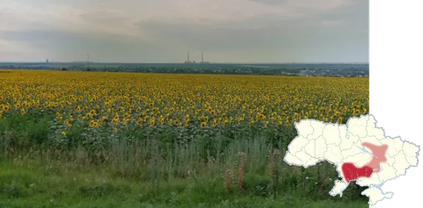 Цветущие поля подсолнухов вдоль дороги Т0403 возле Новой Каховки в Украине